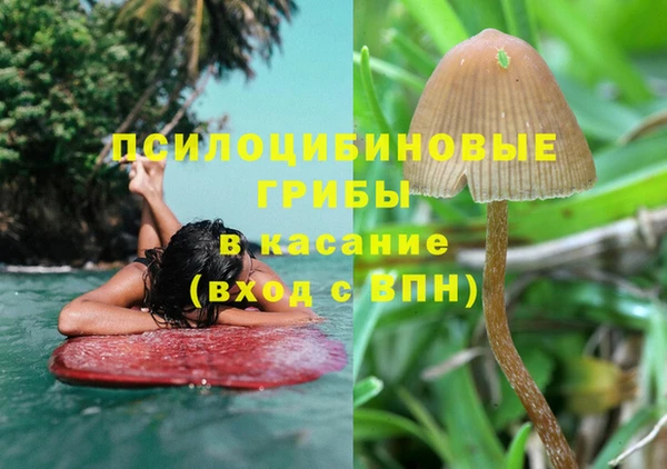 хмурый Балабаново