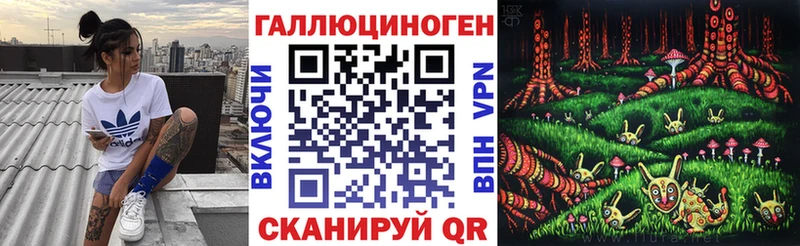 Галлюциногенные грибы Psilocybine cubensis Унеча