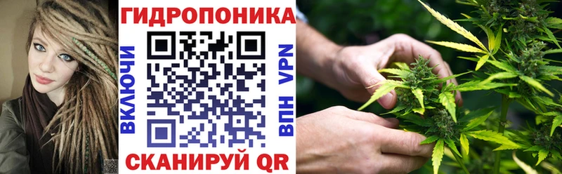 Бошки Шишки MAZAR Унеча